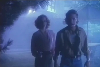 Fogbound