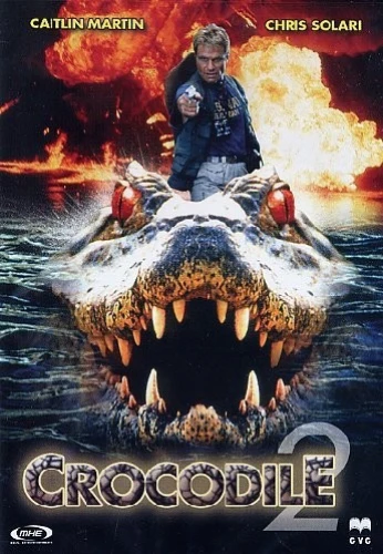 DVD Cover (Italy)