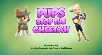 Pups Stop the Cheetah