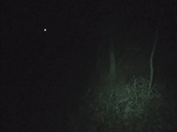Bachelors Grove Cemetery and Waverly Hills Sanatorium