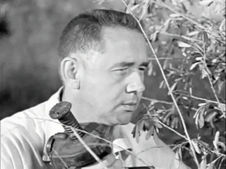 Robert J. Stevenson