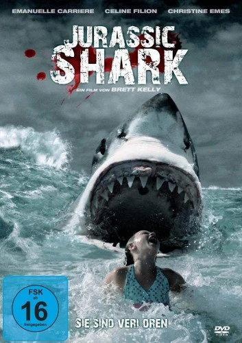 DVD Cover (Germany)