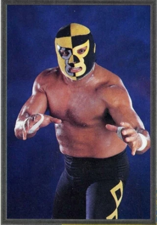 Pierroth Jr.