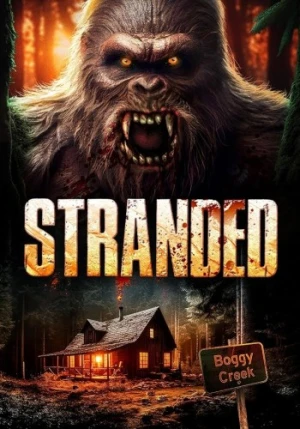 Theatrical Poster