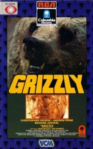 VHS Cover (Sweden)