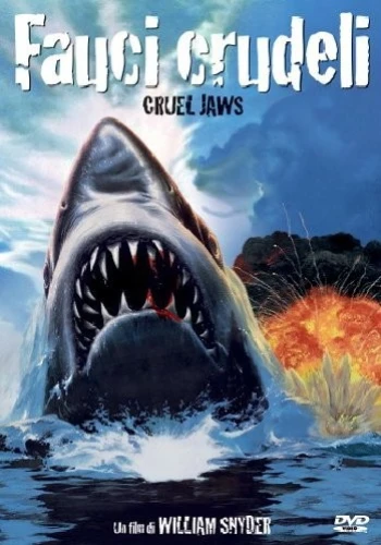 DVD Cover (Italy)
