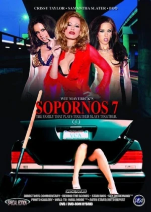 DVD Cover (VCA Pictures)