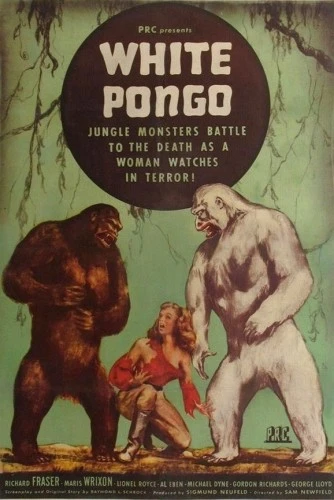 Theatrical Poster