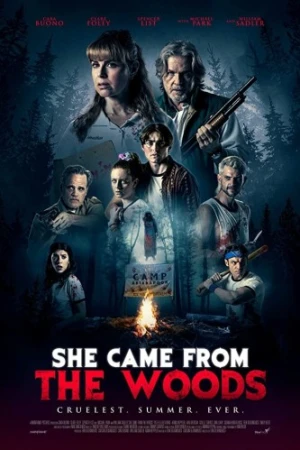 Theatrical Poster