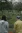 The Raven James Chronicles: Mourning In The Cemetery