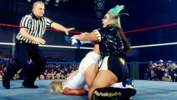 WrestleMania XI Fallout