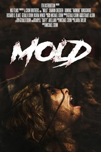 Theatrical Poster