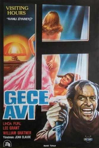 Theatrical Poster (Turkey)
