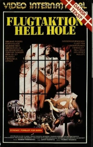 VHS Cover (Denmark)
