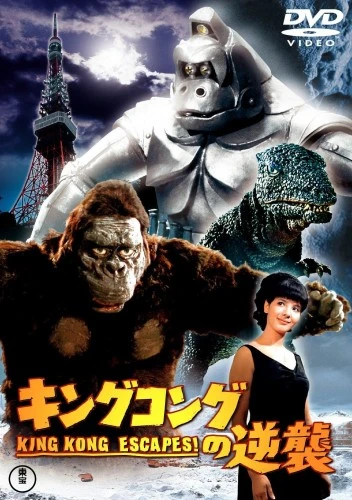 DVD Cover (Japan)