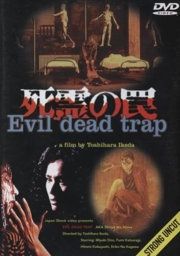 DVD Cover (UK)