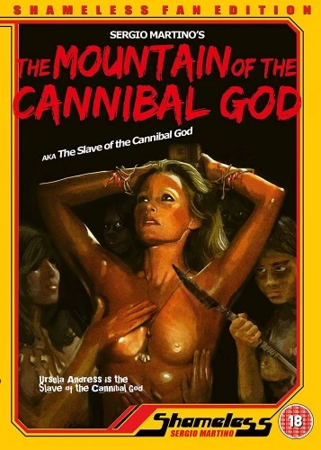 DVD Cover (Shameless)