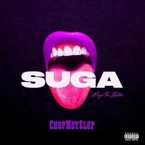 Suga (Chopnotslop remix)