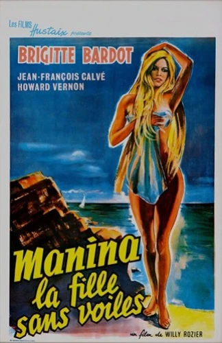 Theatrical Poster (France)