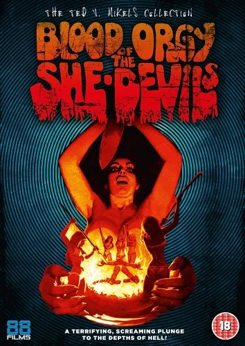 DVD Cover (UK)