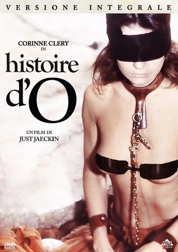 DVD Cover (France)