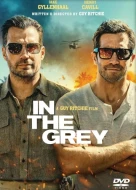 In The Grey