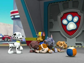 Sea Patrol: Pups Save a Sunken Sloop/Sea Patrol: Pups Save a Wiggly Whale