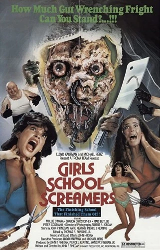 Theatrical Poster (USA)