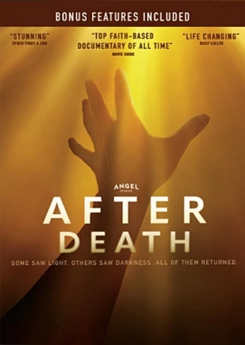 DVD Cover (Angel Studios)