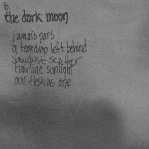 The Dark Moon