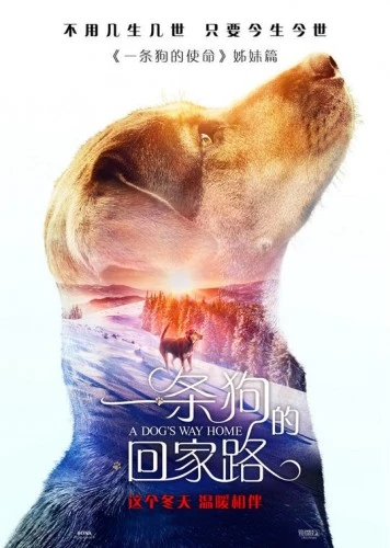 Theatrical Poster (Japan)