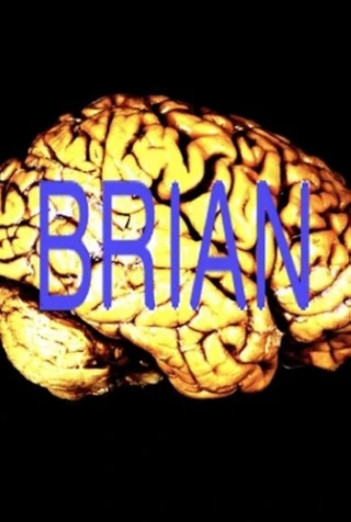 Brian O'Connell