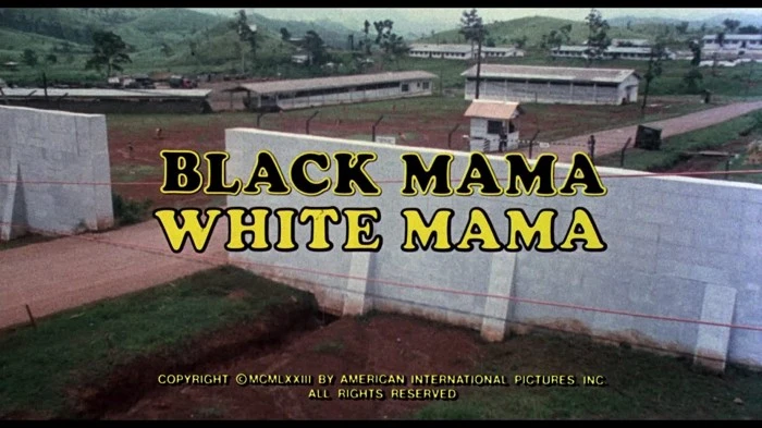 Title Card