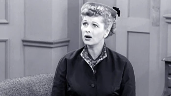 Mr. and Mrs. T.V. Show