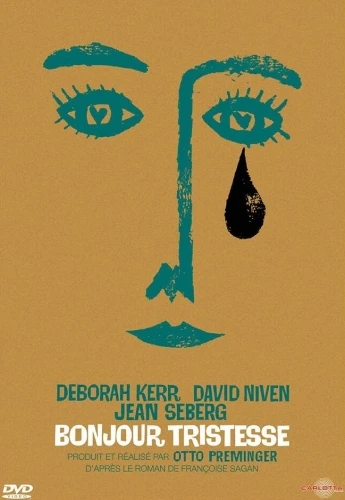 DVD Cover (France)