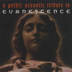 A Gothic Acoustic Tribute to Evanescence