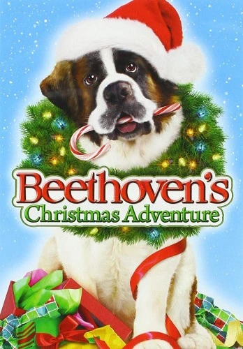 DVD Cover (Universal)