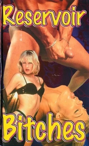 VHS Cover (Netherlands)
