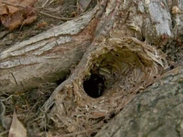 Hole of Horror