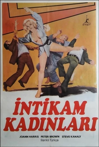 Theatrical Poster (Turkey)